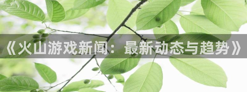 蓝冠娱乐注册平台：《火山游戏新闻：最新动态与趋势》