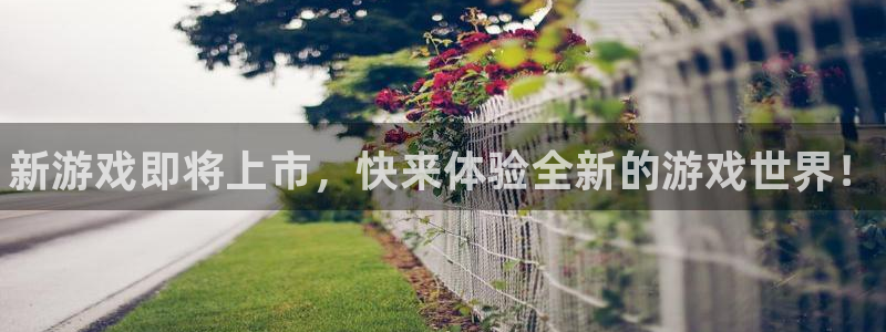 蓝冠娱乐注册地址：新游戏即将上市，快来体验全新的游戏世界！
