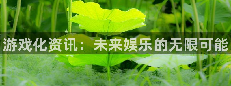 蓝冠娱乐登录：游戏化资讯：未来娱乐的无限可能
