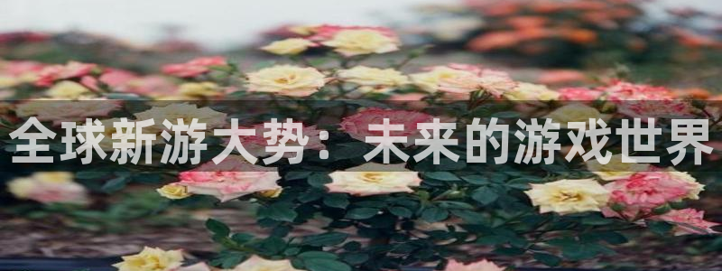 蓝冠娱乐平台官网客服电话：全球新游大势：未来的游戏世界