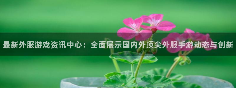 蓝冠娱乐网页登录入口：最新外服游戏资讯中心：全面展示国内外顶