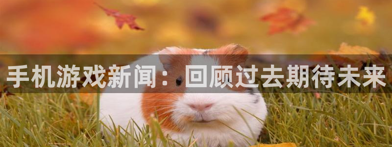 蓝冠娱乐注册登录平台：手机游戏新闻：回顾过去期待未来