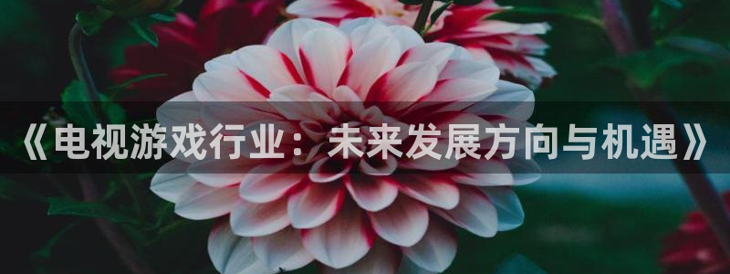蓝冠招商首页网址：《电视游戏行业：未来发展方向与机遇》