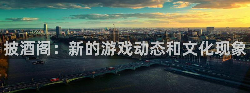 蓝冠招商首页网址：披酒阁：新的游戏动态和文化现象