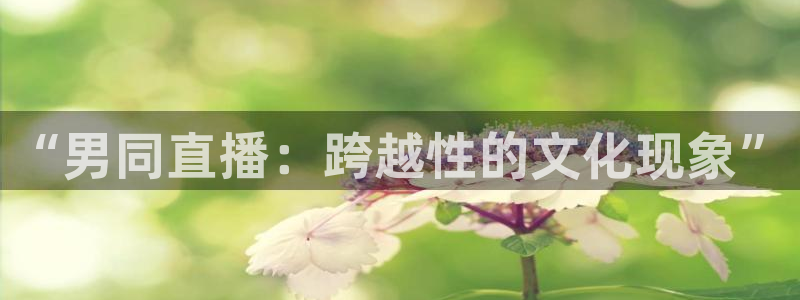 球友直播nba