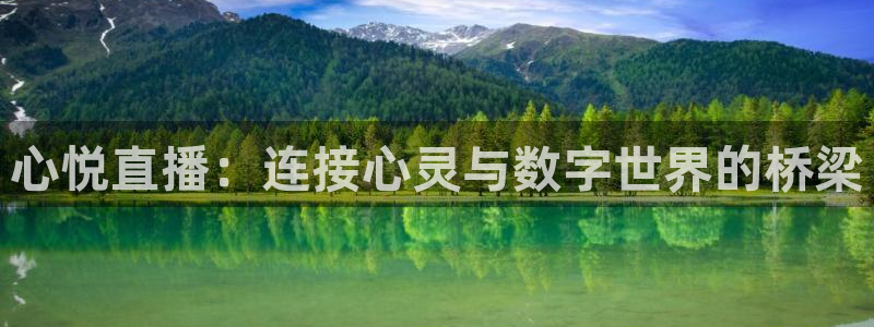球友nba直播