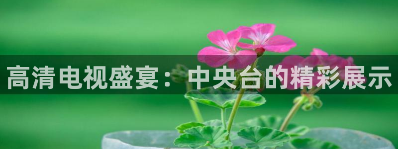 球友体育官网：高清电视盛宴：中央台的精彩展示