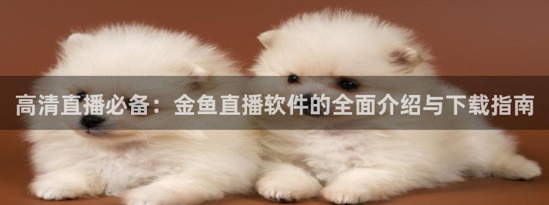 nba球友直播：高清直播必备：金鱼直播软件的全面介绍与下载指南